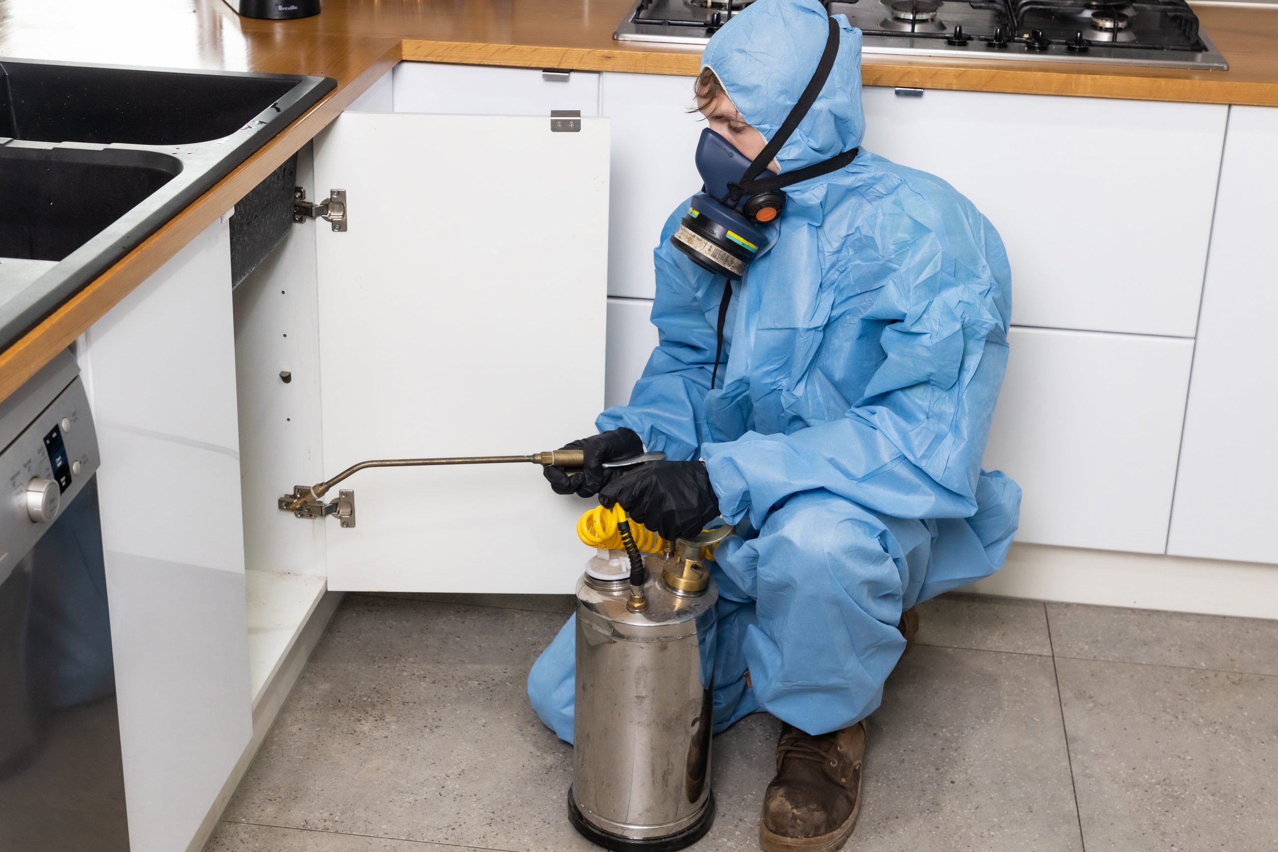 Pest spray to inside of kitchen